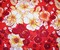 Red-Biege-Multi Poly Floral Printed Pebble Crepe Woven Fabric By the Yard